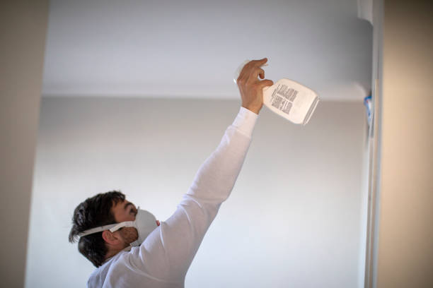 Home Mold Removal in Barton Creek, TX
