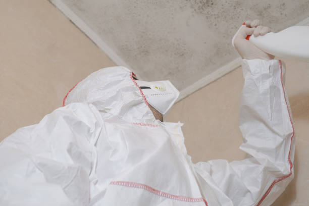 Best Professional Mold Removal  in Barton Creek, TX