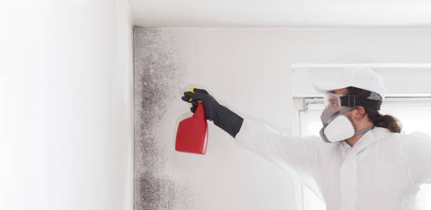 Best Mold Cleaning Services  in Barton Creek, TX
