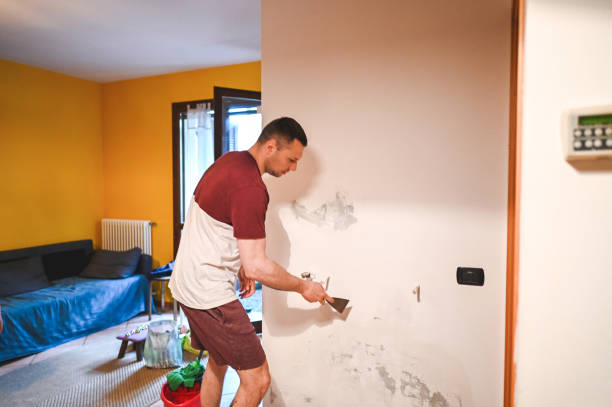 Best Commercial Mold Removal  in Barton Creek, TX